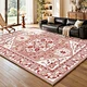 Classic Luxury Washable Area Faux Cashmere Carpet